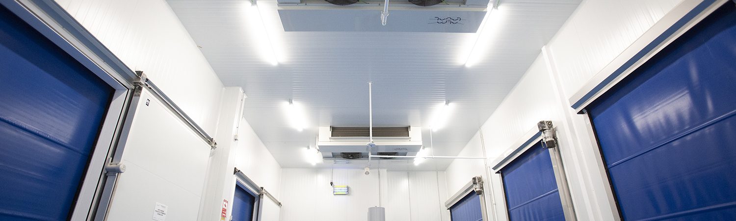 Industria Pesquera - Tecnifrio