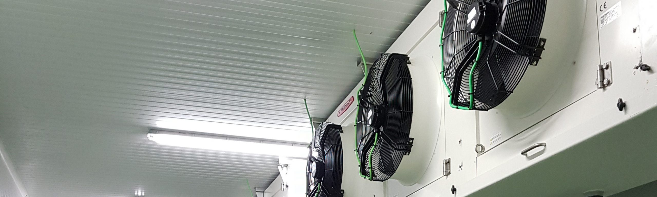 Industria Cárnica - Tecnifrio