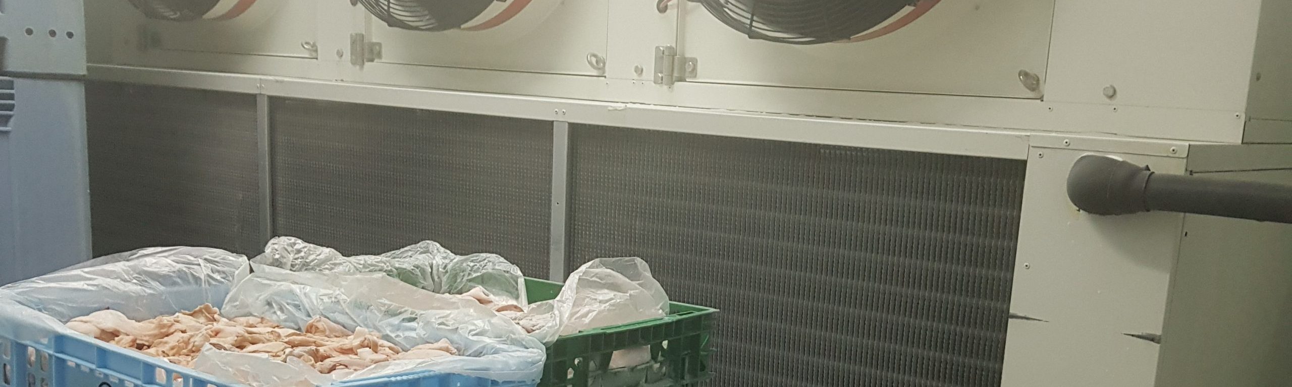 Industria Cárnica - Tecnifrio