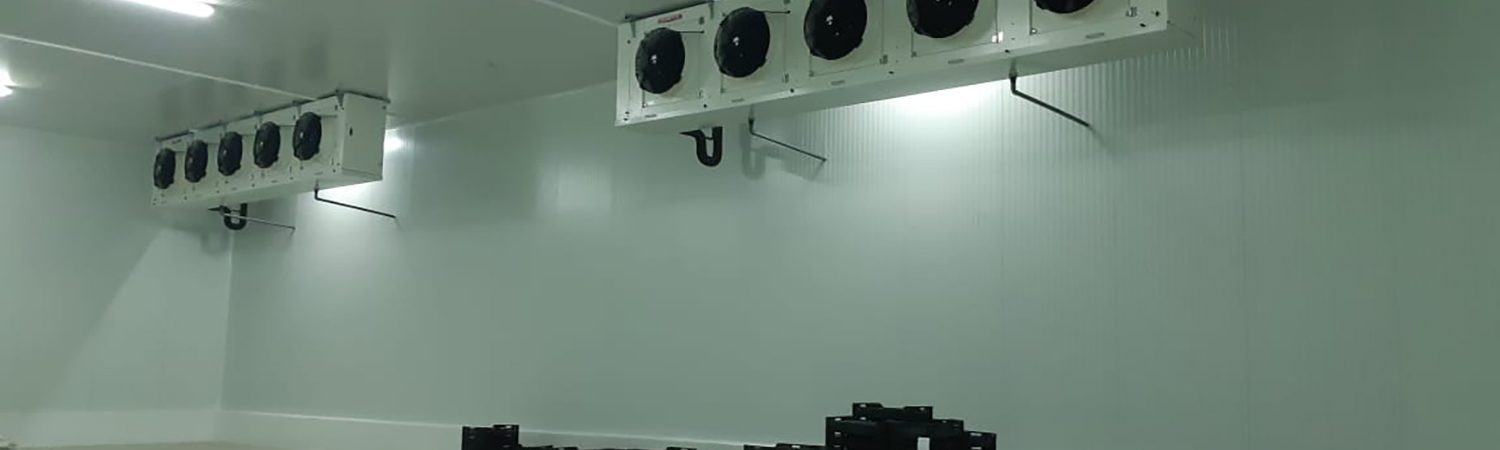 Central Hortofrutícola - Tecnifrio