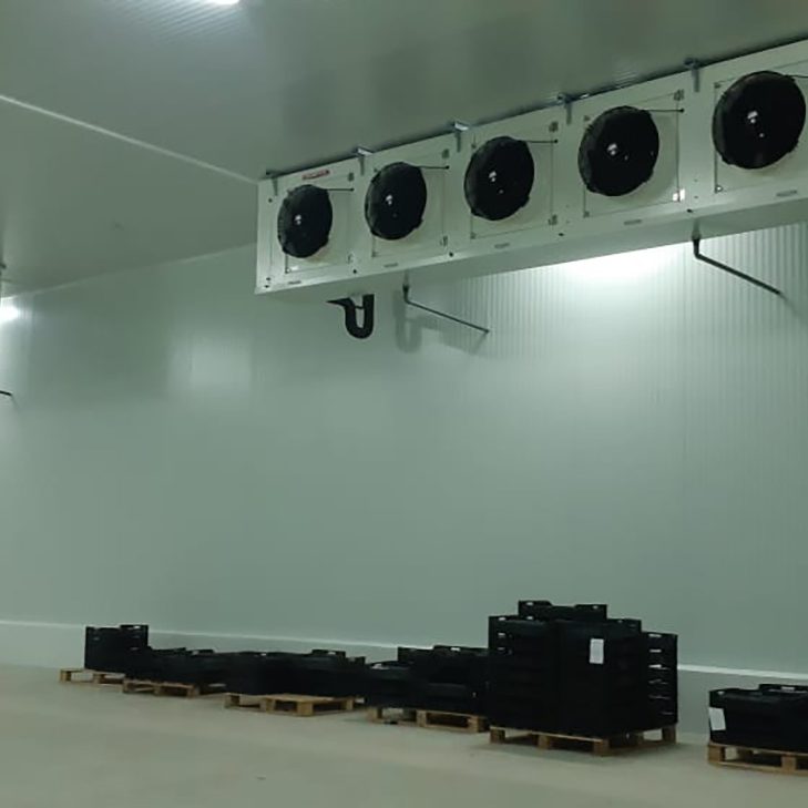 Proyectos - Tecnifrio