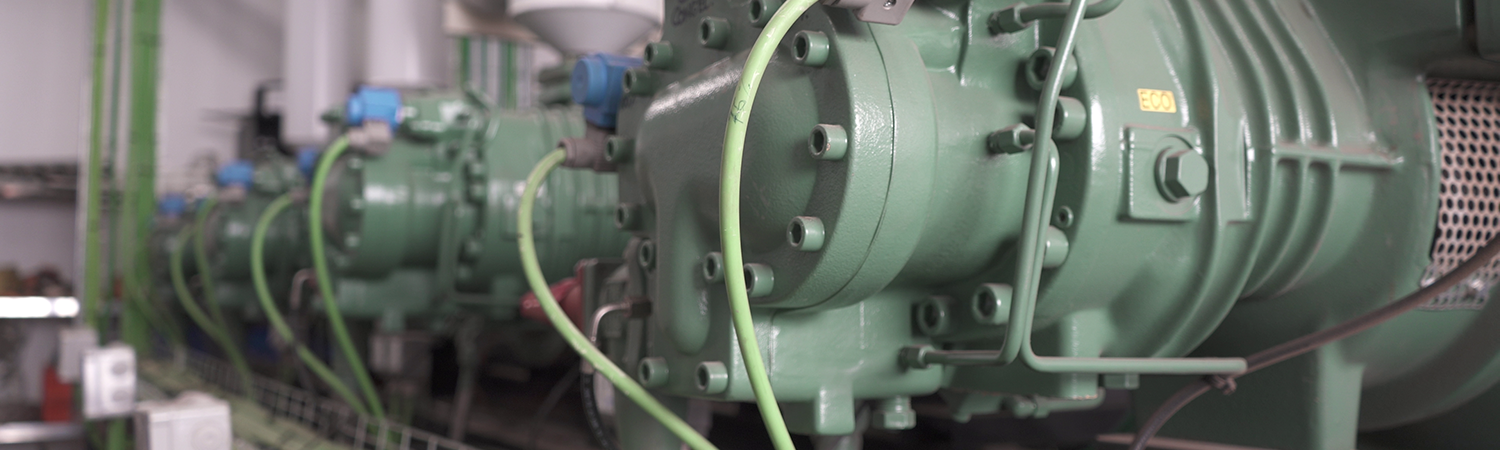 Industria Cárnica - Tecnifrio