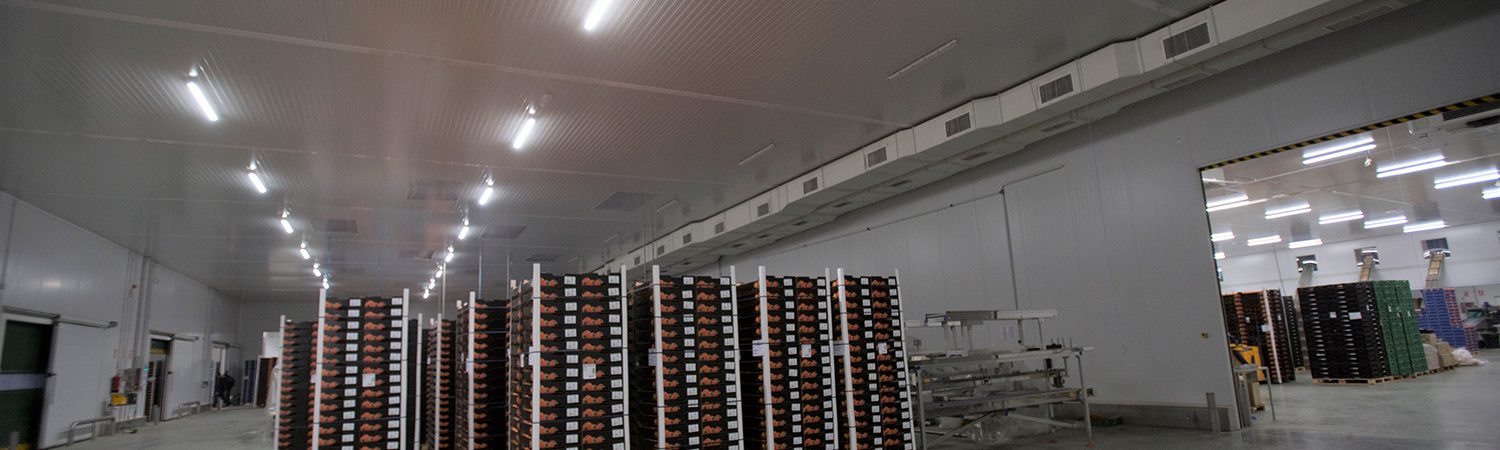 Central Hortofrutícola - Tecnifrio