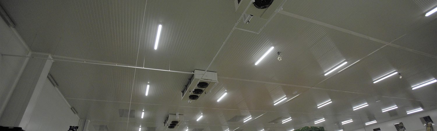 Central Hortofrutícola - Tecnifrio