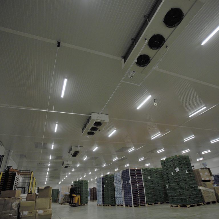 Proyectos - Tecnifrio