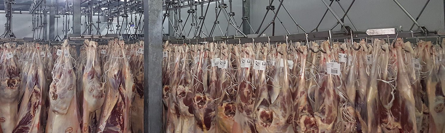 Industria Cárnica - Tecnifrio