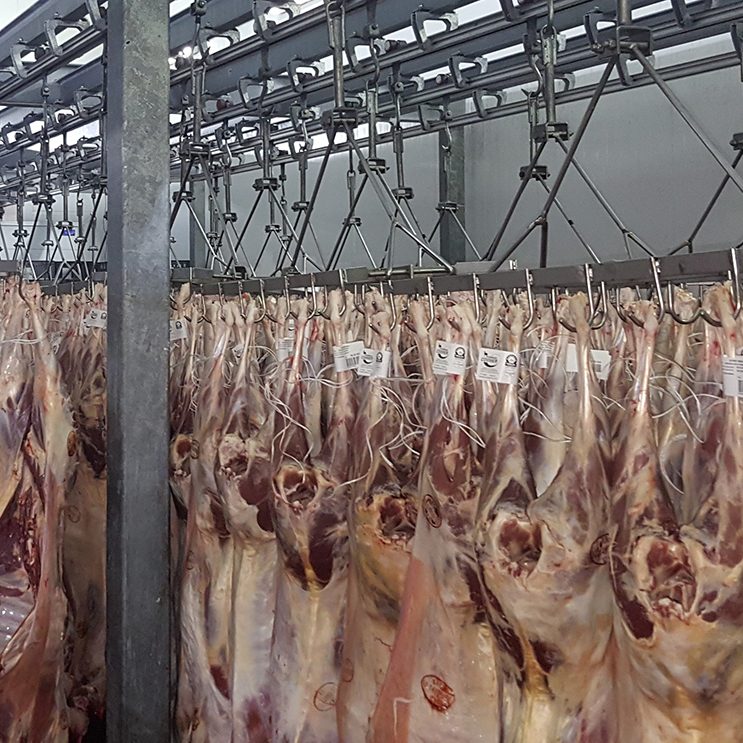 Proyectos - Tecnifrio