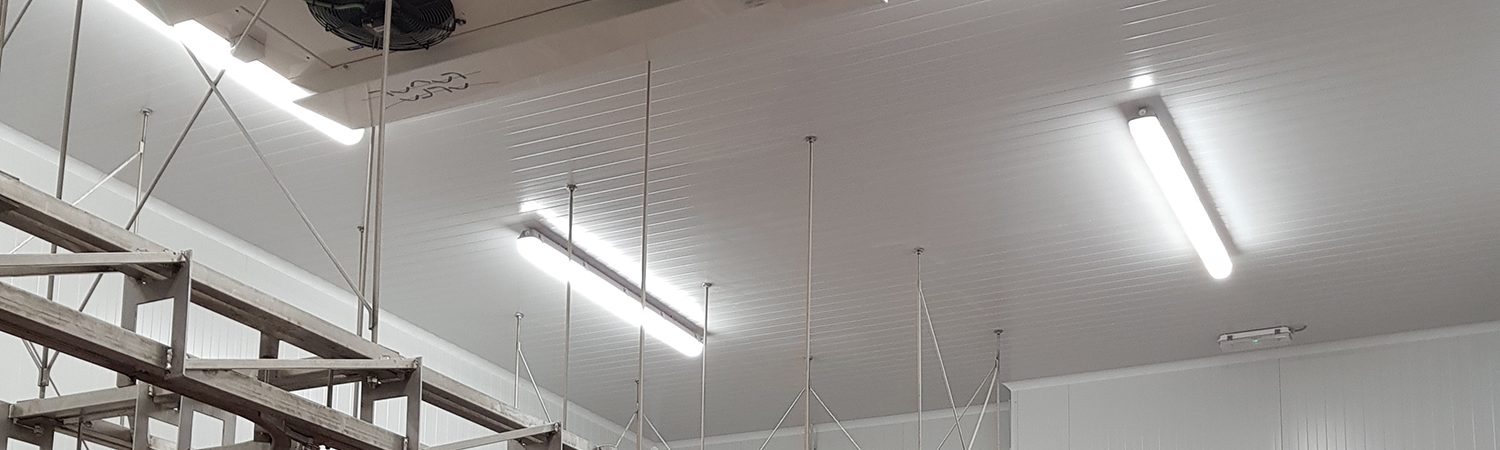 Industria Cárnica - Tecnifrio